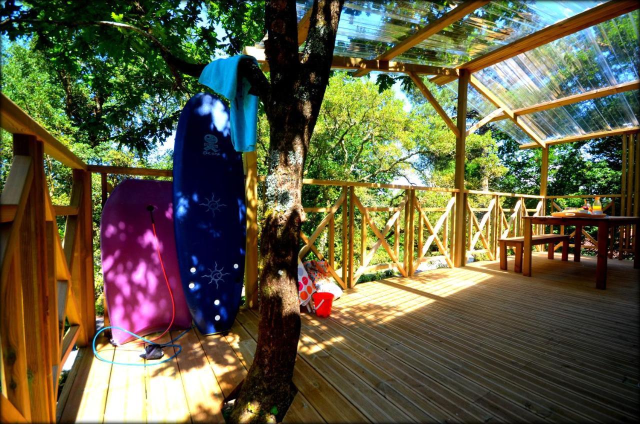 Village Nature Et Ocean A Cote De La Plage Avec Piscine Et Jacuzzi Messanges  Exteriér fotografie