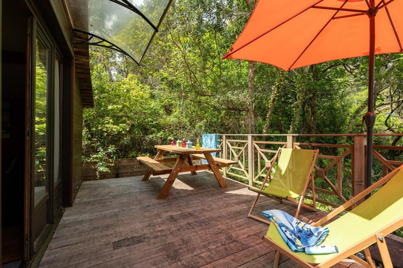 Village Nature Et Ocean A Cote De La Plage Avec Piscine Et Jacuzzi Messanges  Exteriér fotografie